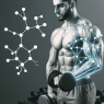 Primobolan: an ally for muscle growth in athletes