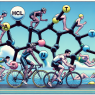 Raloxifene hcl: a potential ergogenic aid for endurance athletes