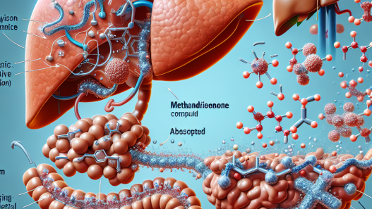 Hepatic metabolism of methandienone compresse: first-pass effect