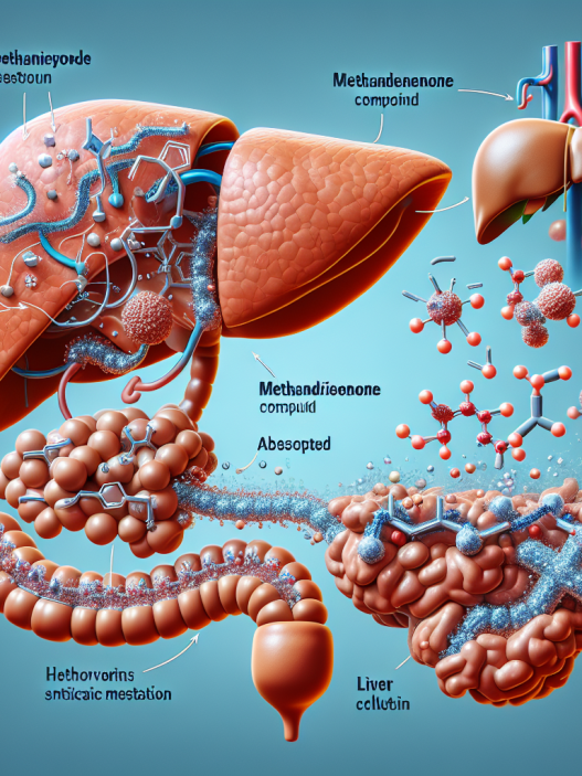Hepatic metabolism of methandienone compresse: first-pass effect